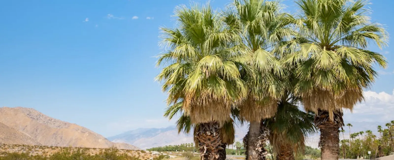 How Palm Desert Businesses Can Build a Cybersecurity Strategy That Actually Works